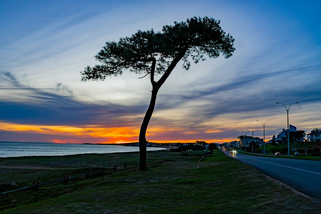 Classic convertible car driving along the coastal road of Punta del Este at sunset